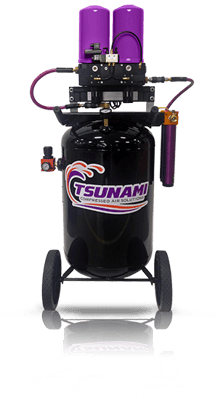 0945 Tsunami Rove 10 Hp Dryer WEB-1