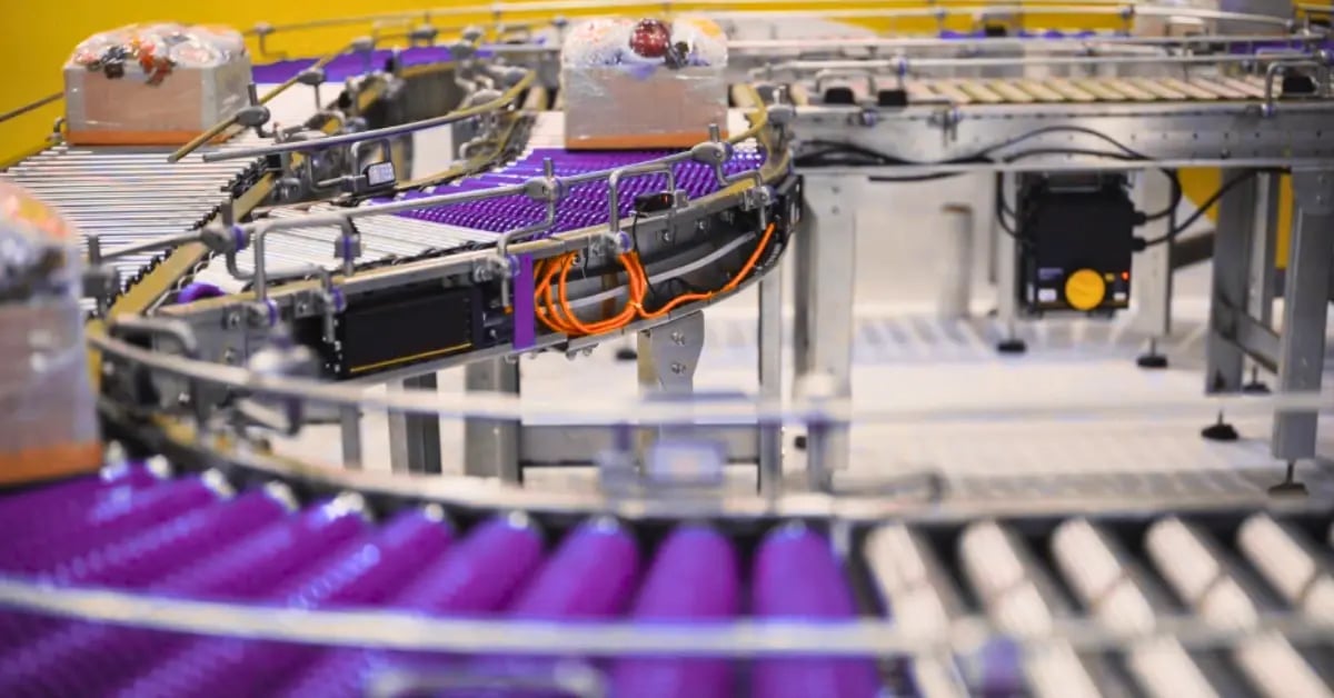 Conveyors for Automation